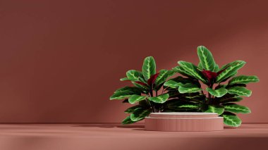 En küçük sahne, 3d görüntüyü boş uzay seramik dokusu eğri silindir podyumu manzarada