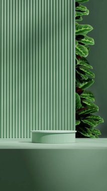 portre bloklayıcı duvarda yeşil renkli kıvrımlı silindir podyum, 3d görüntü görüntüleme şablonu
