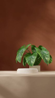 kahverengi renkli kıvrımlı silindir podyum arkaplanda portre kabı, 3D görüntüleme boş boşluk