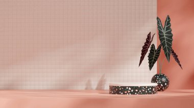 Mockup space terrazzo desen kıvrımlı silindir podyum peyzaj çömleği ve duvar, 3D görüntü