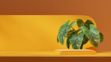 boş model sarı renk bloğu ve silindir podyum peyzaj kıvrımlı duvar, 3D görüntüleme