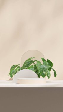 3D canlandırma sahnesi beyaz renkli kıvrımlı silindir podyum portre dairesi ve kemer