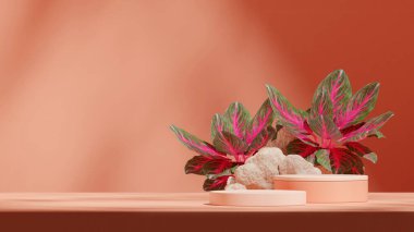 peyzaj kayaları arka planında, 3d resim boş mockup beyaz renkli kıvrımlı silindir podyumu oluşturur