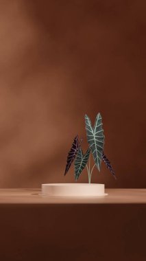 Portrede minimal sahne, 3D görüntüleme boş model kahverengi renk kıvrımlı silindir podyumu