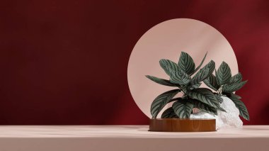 3D resim boş maket ahşap desen eğri silindir podyum manzara dairesi ve kayalar