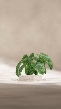 Kemerli arkaplan, 3d boşluk mor renk bloğu ve silindir podyumu portrede oluşturuluyor