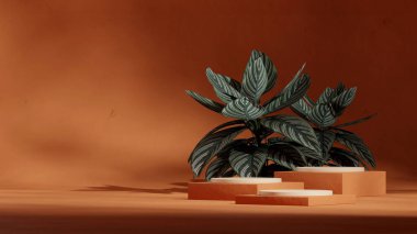 peyzaj kemeri ve kayalarda kırmızı renk bloğu şekilli podyum, 3D boş modelleme