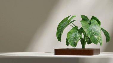 En küçük sahne, 3D modelleme şablonu ahşap desen eğri blok podyumu manzara