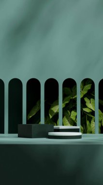 Portre kemeri arkaplanında 3d boş model yeşil renk bloğu ve silindir podyumu görüntüleniyor