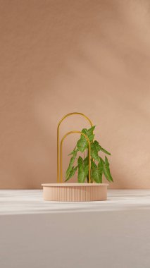 Portre kemer arkaplanında, 3d resim düzenleme alanı kahverengi renk kıvrımlı silindir podyumu