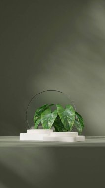 portre cam çemberinde yeşil renk bloğu ve silindir podyumu, 3d biçimlendirme şablonu