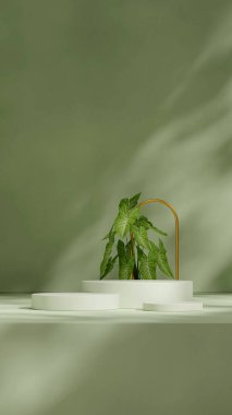 boş mockup yeşil renkli kıvrımlı silindir podyum portre kemer arkaplan, 3d görüntüleme