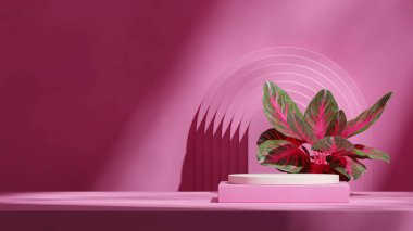 3D görüntüyü boş görüntüle pembe renk bloğu ve silindir podyum peyzaj kemeri arkaplanında