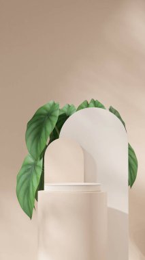 3D görüntüleme boş renk eğri silindir podyum portre kemer arka planı