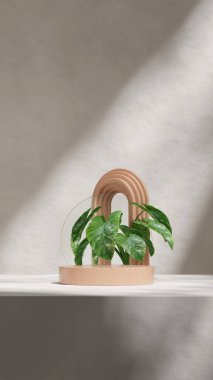 3D boş modelleme granit desen kıvrımlı silindir podyum portre kemer ve daireler