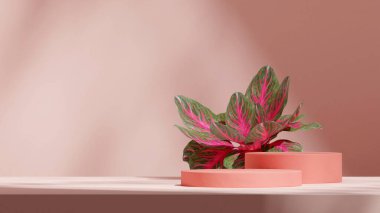 3D görüntüleme boş alan pembe renkli kıvrımlı silindir podyum manzara minimumda