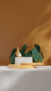 3D resim portre silindiri ve vazoda boş sahne turuncu renkli kıvrımlı silindir podyumu oluşturur