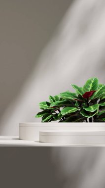 3d canlandırma sahnesi beyaz renkli kıvrımlı silindir portrede minimal sahne