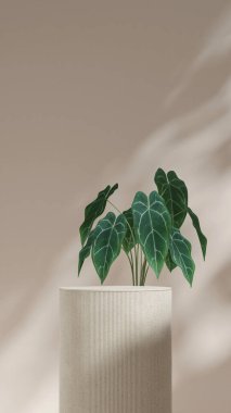 3D hazırlama sahnesi seramik doku eğimli silindir portrede minimal sahne