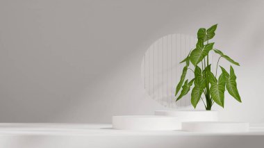 boş sahne beyaz renk kıvrımlı silindir peyzaj dairesi arkaplan, 3d görüntüleme