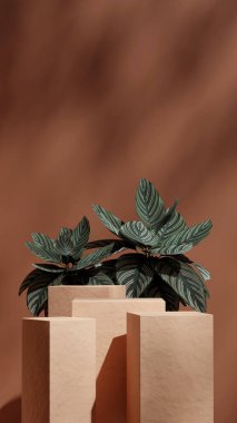 En küçük sahne, 3d model sahne kahverengi renk bloğu şekli portrede oluşturuluyor