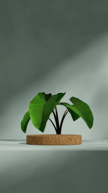 En küçük sahne, 3D görüntü oluşturma şablonu ahşap doku eğimli silindir portrede