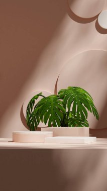 3d resim düzenleme alanı beyaz renk bloğu ve silindir portre daireleri arkaplan arkaplanı