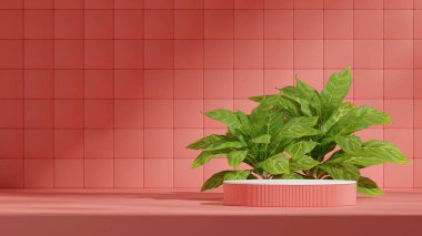 3D boş modelleme pembe renkli silindir peyzajda şekillendirilmiş küp duvar