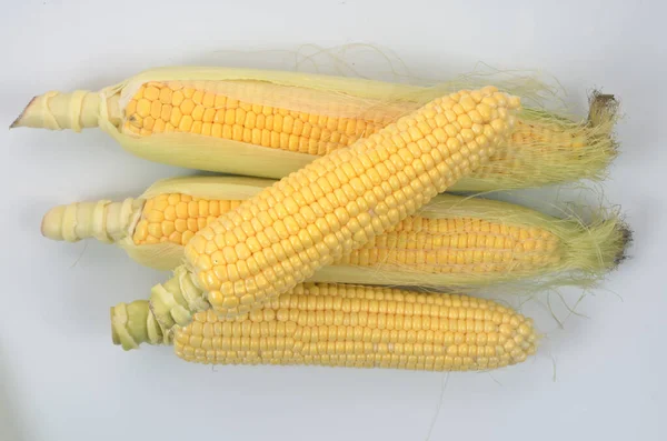 Кукуруза Фото Белом Фоне — стоковое фото