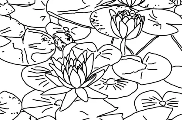 Sketch Lotus Pond — Stock Photo, Image