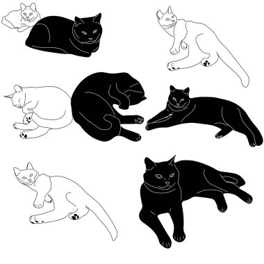 Beyaz arkaplandaki kedi çizimleri