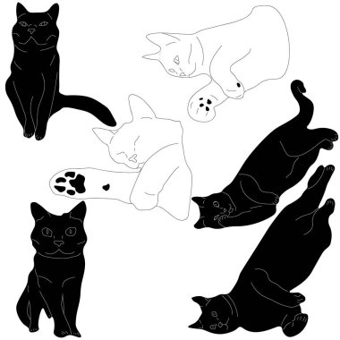 Beyaz arkaplandaki kedi çizimleri