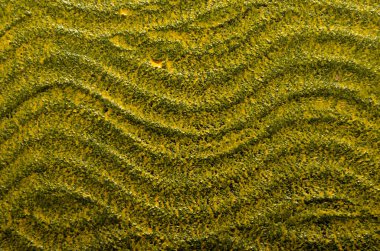  Siyah ve sarı renkli dalgalı desenli arkaplan