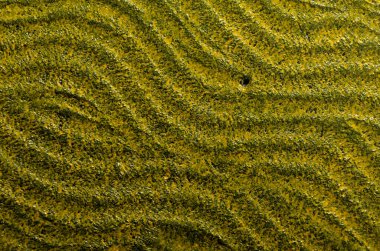  Siyah ve sarı renkli dalgalı desenli arkaplan