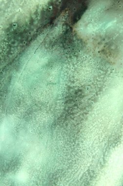 Yeşil kuru lekelerin soyut sanat arkaplanı