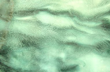 Yeşil kuru lekelerin soyut sanat arkaplanı