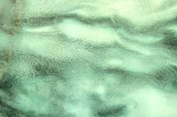 Yeşil kuru lekelerin soyut sanat arkaplanı