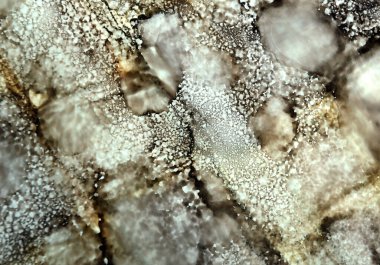 Lekelerin sanat arkaplanı ve kuru zeytin rengi damlalar.