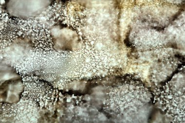 Lekelerin sanat arkaplanı ve kuru zeytin rengi damlalar.