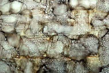 Lekelerin sanat arkaplanı ve kuru zeytin rengi damlalar.