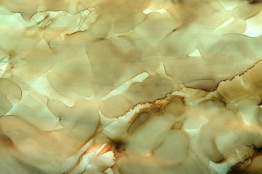 Yosun yeşili lekelerin sanat arkaplanı