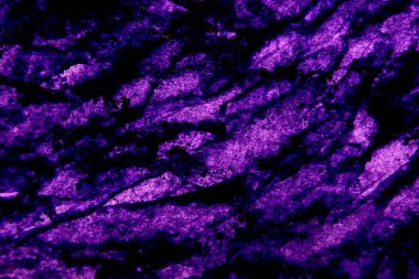 parlak mor lekeli koyu arkaplan