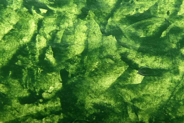 Beyaz üzerine çizikler olan yeşil lekelerin sanat arkaplanı