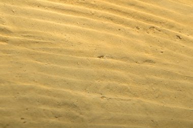 alçı sanat arka planı kumlu sarı renkte