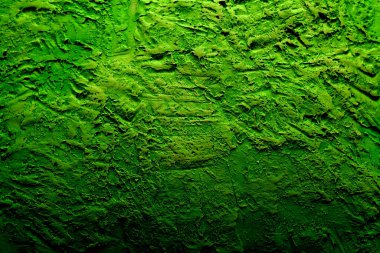 alçı arkaplan yeşil renkli ve ince desenli