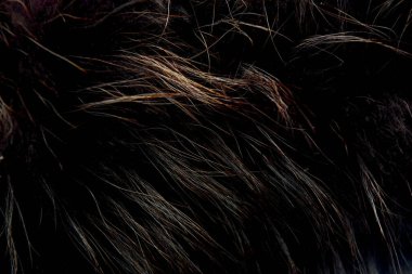 Koyu siyah ve beyaz saçlı basit bir arkaplan.