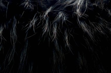 Koyu siyah ve beyaz saçlı basit bir arkaplan.