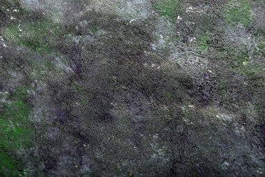 yeşil ile mor arkaplan