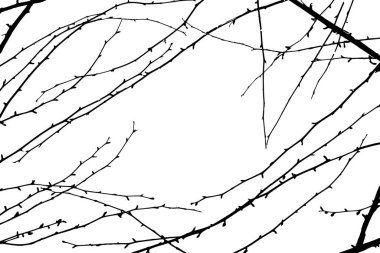 metin için küçük dalların bahar arkaplanı