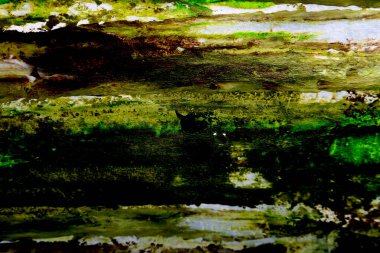 Yeşil kahverengi renkli soyut arkaplan